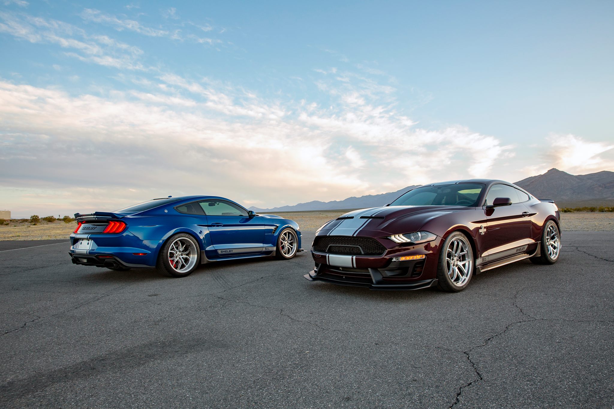 2019 SHELBY SUPER SNAKE - Tangent Design Group, Inc.