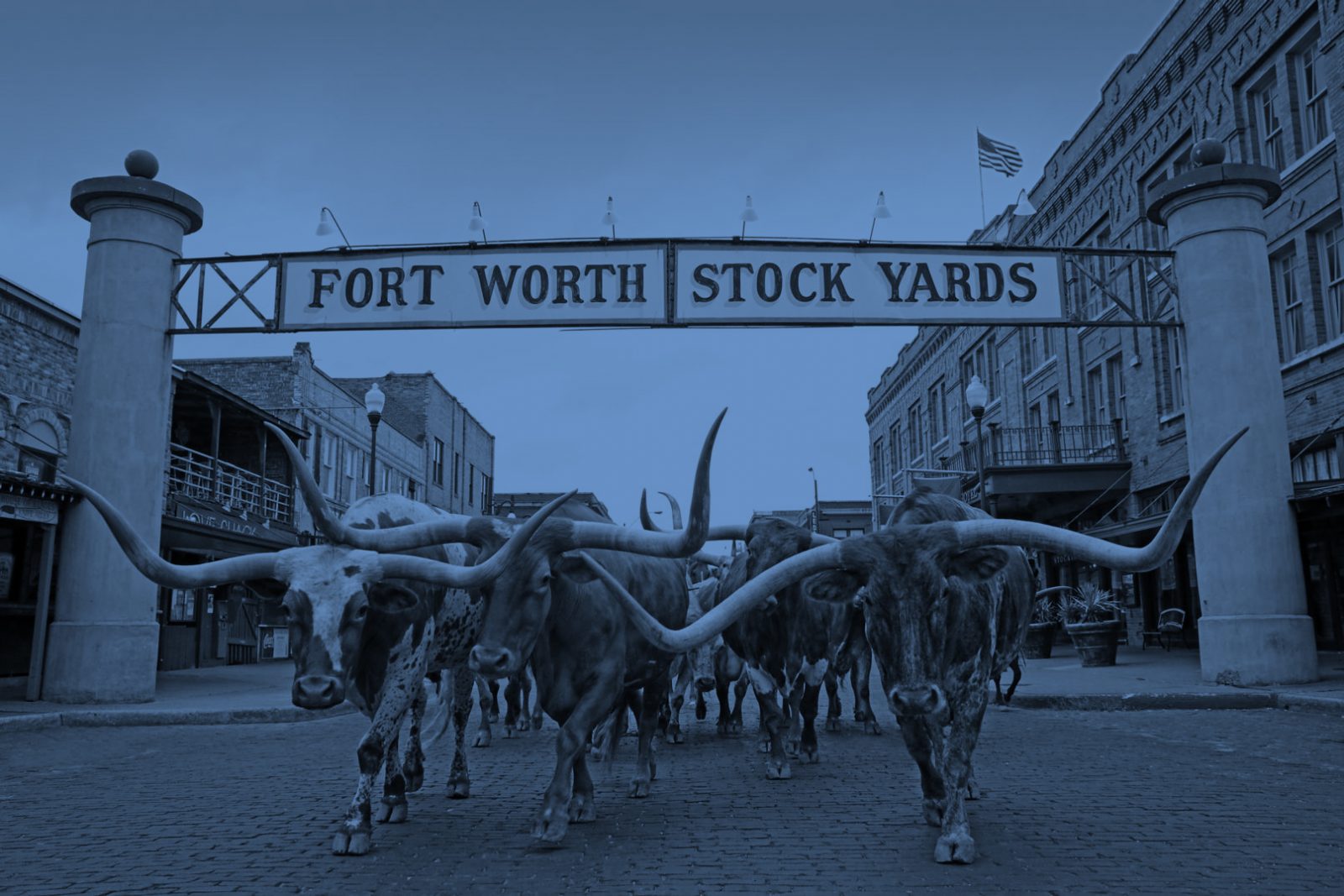 Fort Worth Stock Yards SPE Thermoforming From An Industrial Designers Perspective News Button